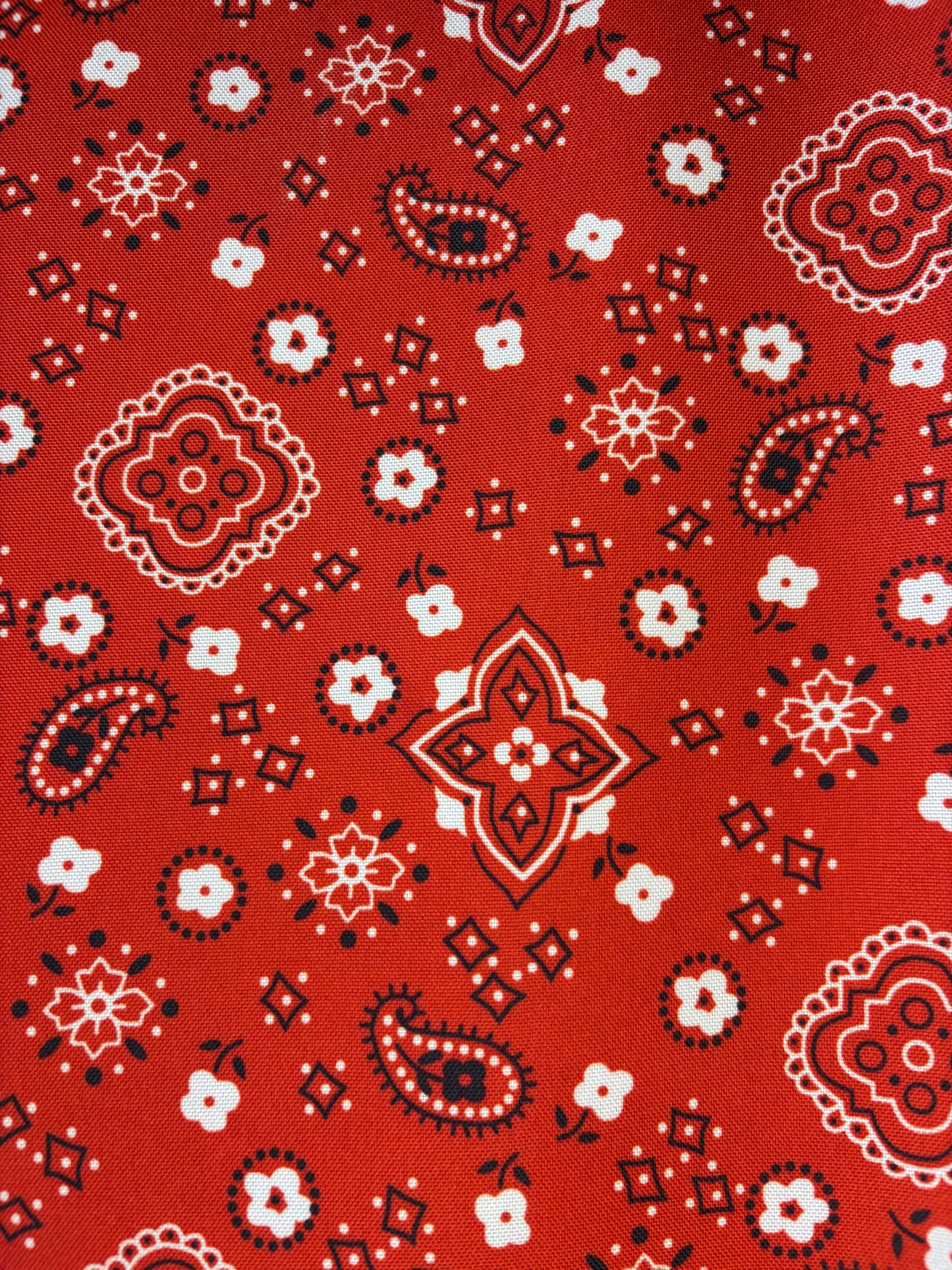Red Bandana