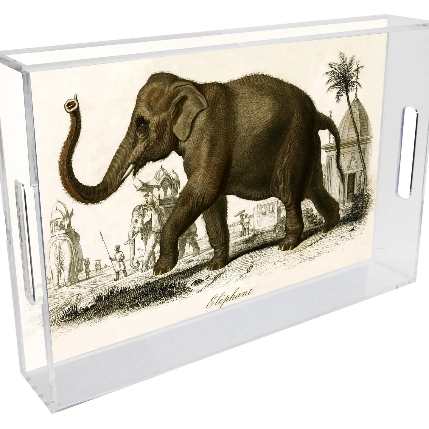 Elegant Lucite Tray