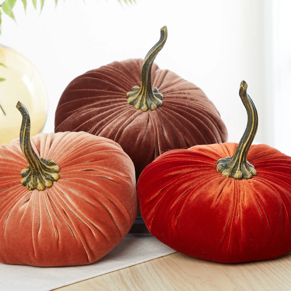 Velvet Pumpkins
